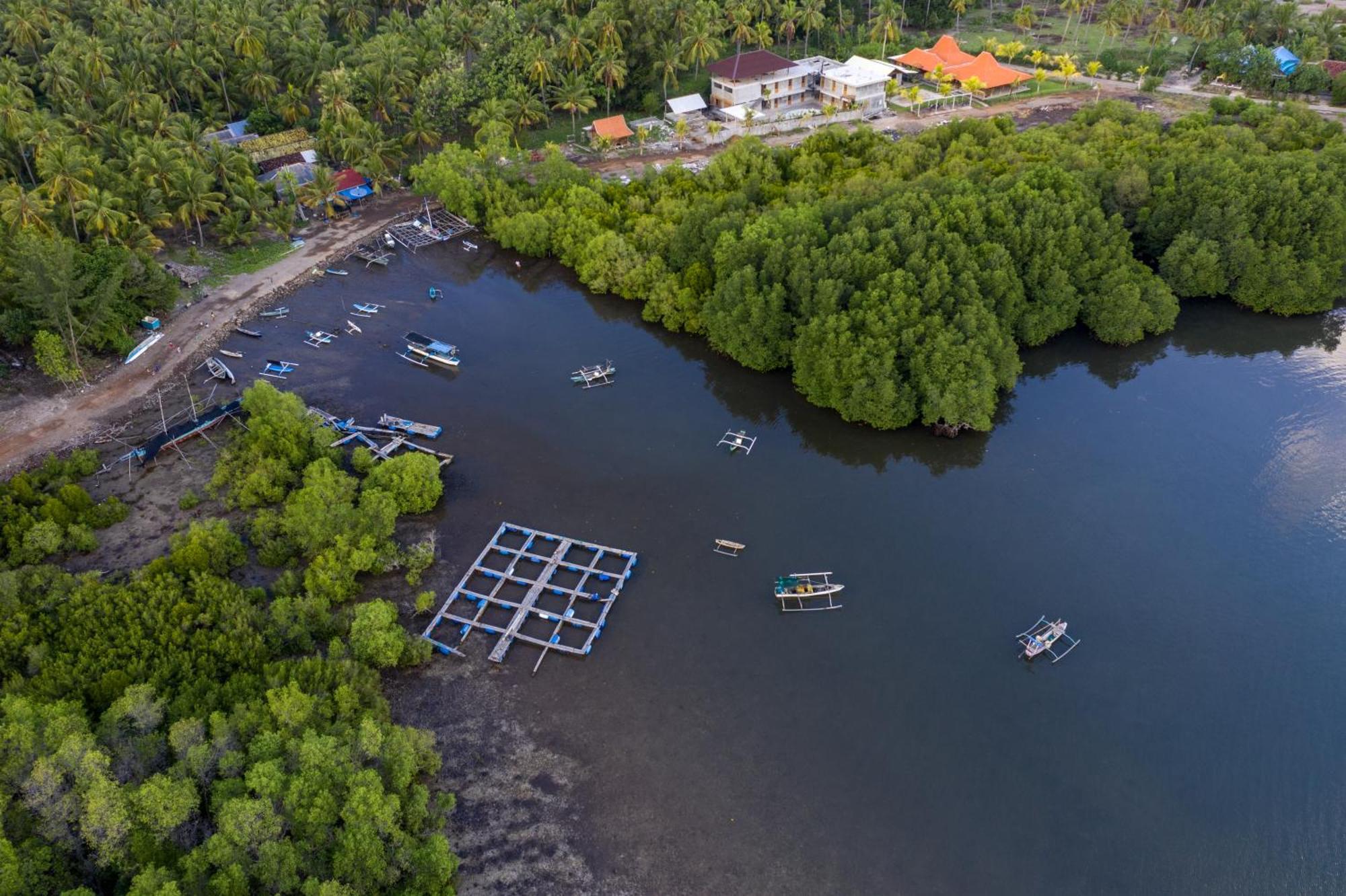 Mangroove Bay Boutique Hostel Banyuwedang Esterno foto
